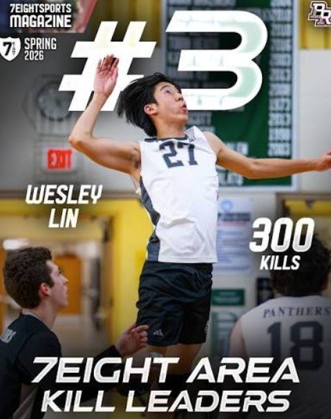 Volleyball players in action on the court